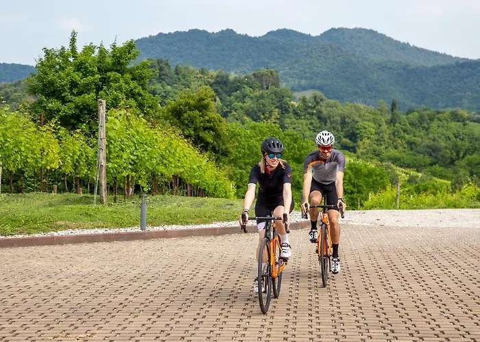 酒店 太阳酒店 5*